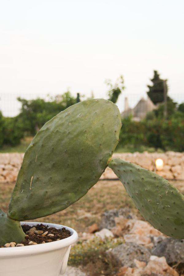 Enjoytrulli - Countryside Villa Noci Esterno foto