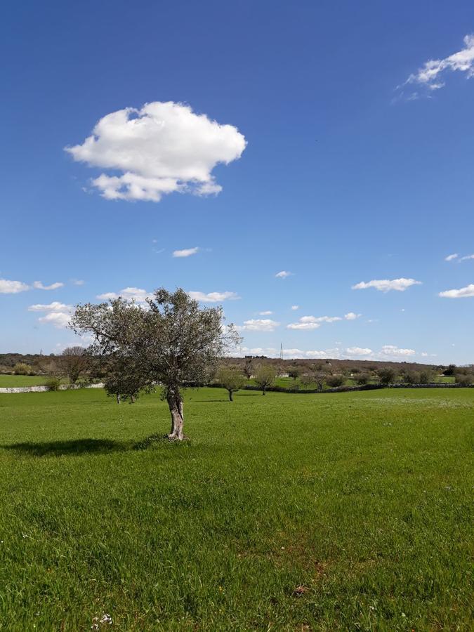 Enjoytrulli - Countryside Villa Noci Esterno foto